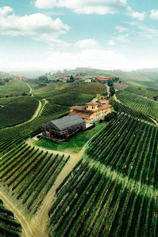 cantina-nelle-langhe