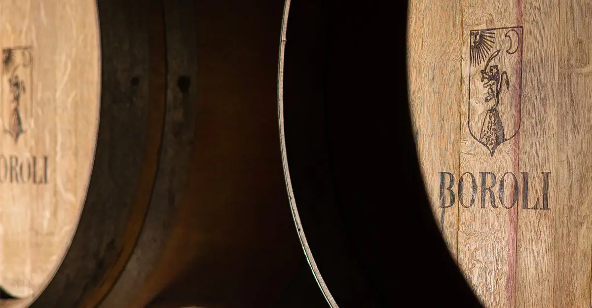 immagine-evidenza-boroli-botti