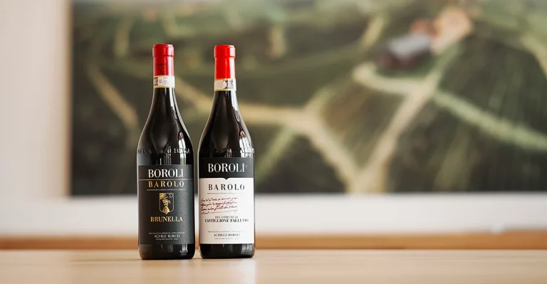 scopri le diverse tipologie di forme delle bottiglie di vino