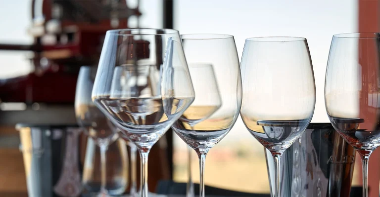 Come scegliere il calice giusto per ogni vino