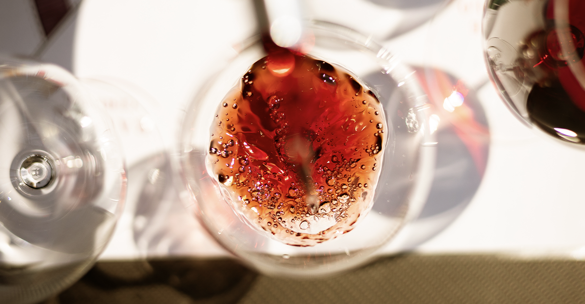 Regalo degustazione vini Langhe