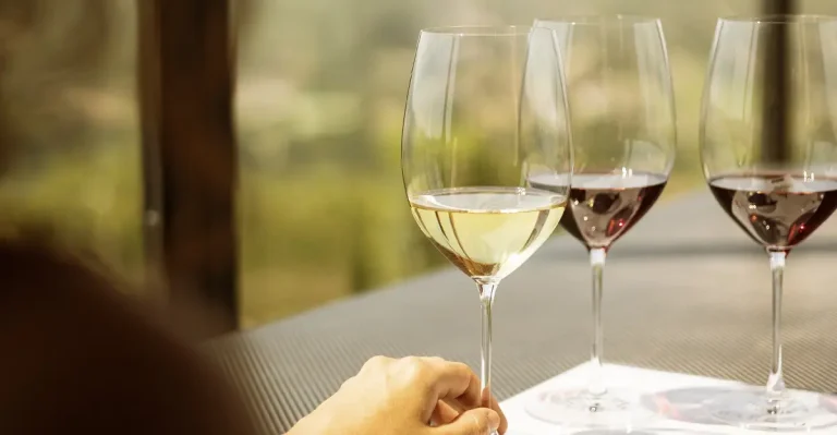 Wine Consumption Trends